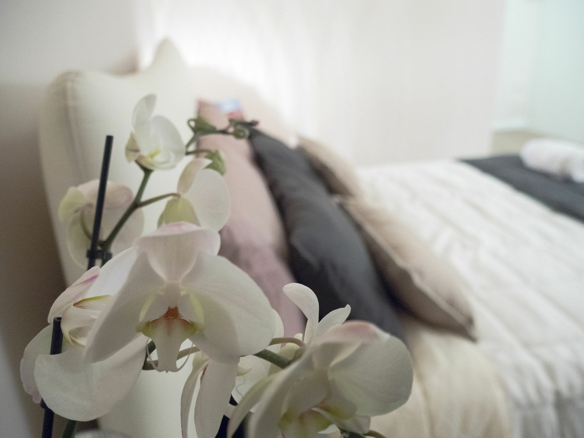 Relais Love Verona Eksteriør bilde